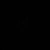 plutoisvenus